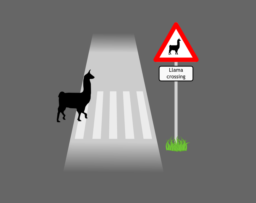 Llama impression #12: Crossing