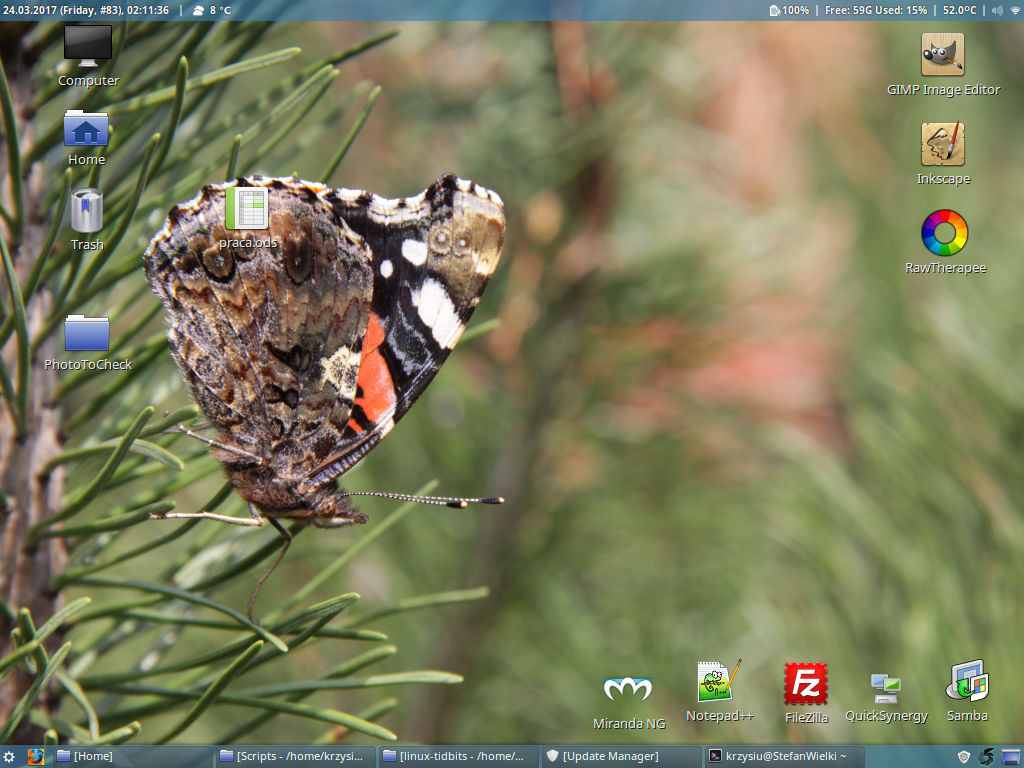 Linux mint desktop with two bars